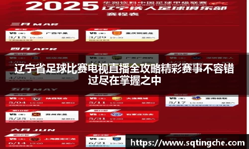 辽宁省足球比赛电视直播全攻略精彩赛事不容错过尽在掌握之中