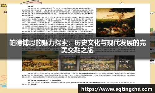 帕德博恩的魅力探索：历史文化与现代发展的完美交融之旅