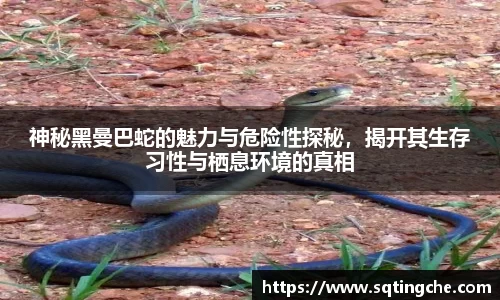 神秘黑曼巴蛇的魅力与危险性探秘，揭开其生存习性与栖息环境的真相